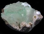 Green Apophyllite Crystals On Zeolites - India #34066-2